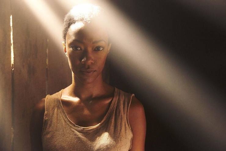 The Walking Dead Season 5 Official Description & Image Gallery The Walking Dead Season 5 Official Description & Image Gallery